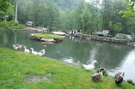 ANTALYA ÇIKIŞLI SAPANCA MAŞUKİYE ORMANYA TURU