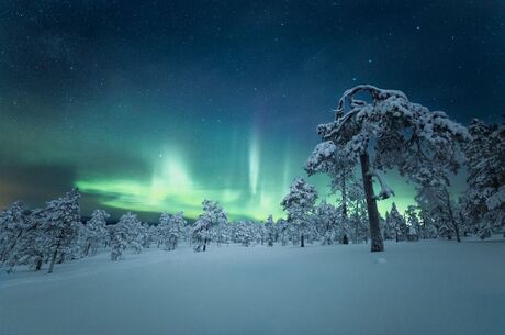 KUZEY IŞIKLARI LAPLAND TURU