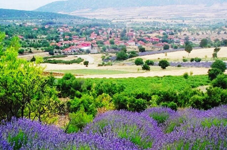 ISPARTA LAVANTA TARLALARI & BURDUR SALDA GÖLÜ TURU