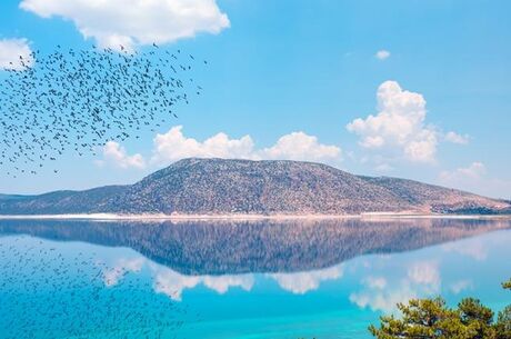 ISPARTA LAVANTA TARLALARI & BURDUR SALDA GÖLÜ TURU
