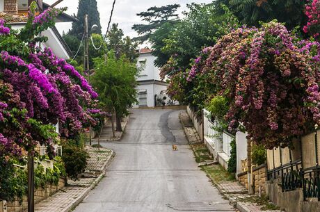 ANTALYA ÇIKIŞLI UÇAKLI ADALAR ŞİLE AĞVA TURU